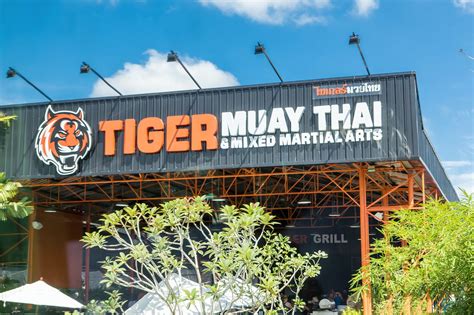 tiger muay thai thailand|tiger muay thai price.